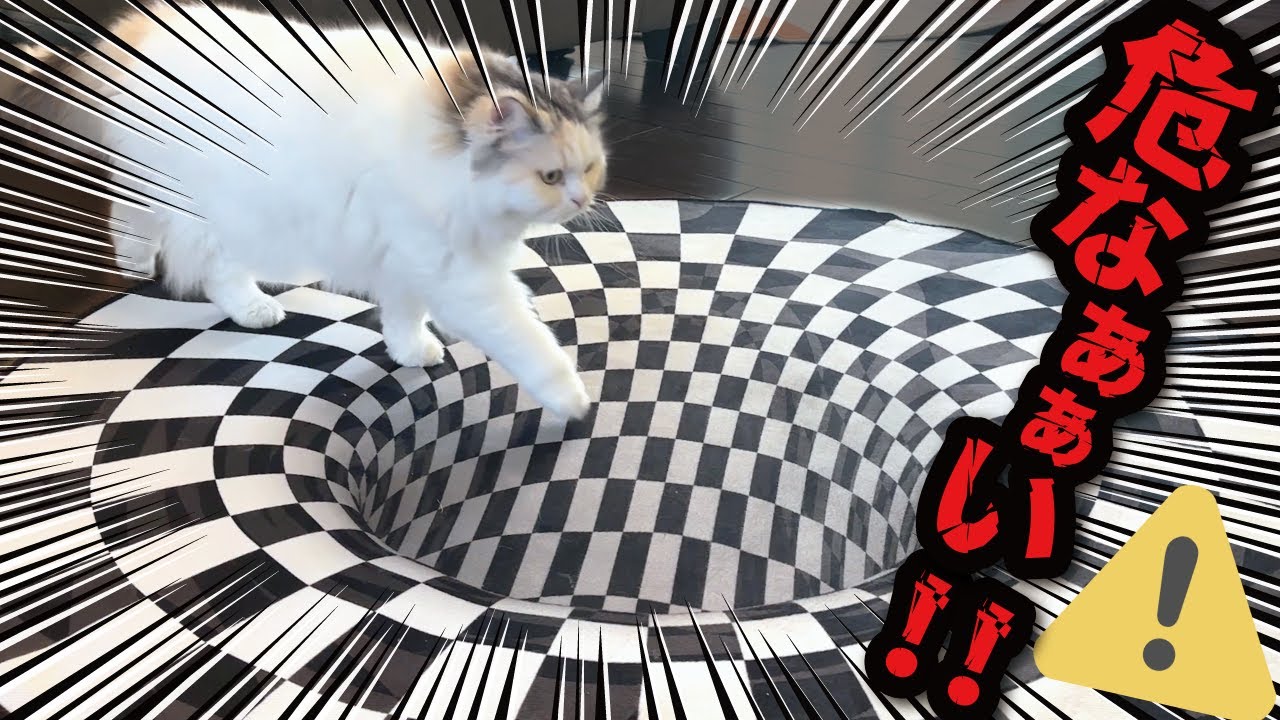 ねこづくし　Full of Cats Too hard lol] Here's the scariest cat petting map ever [Cat