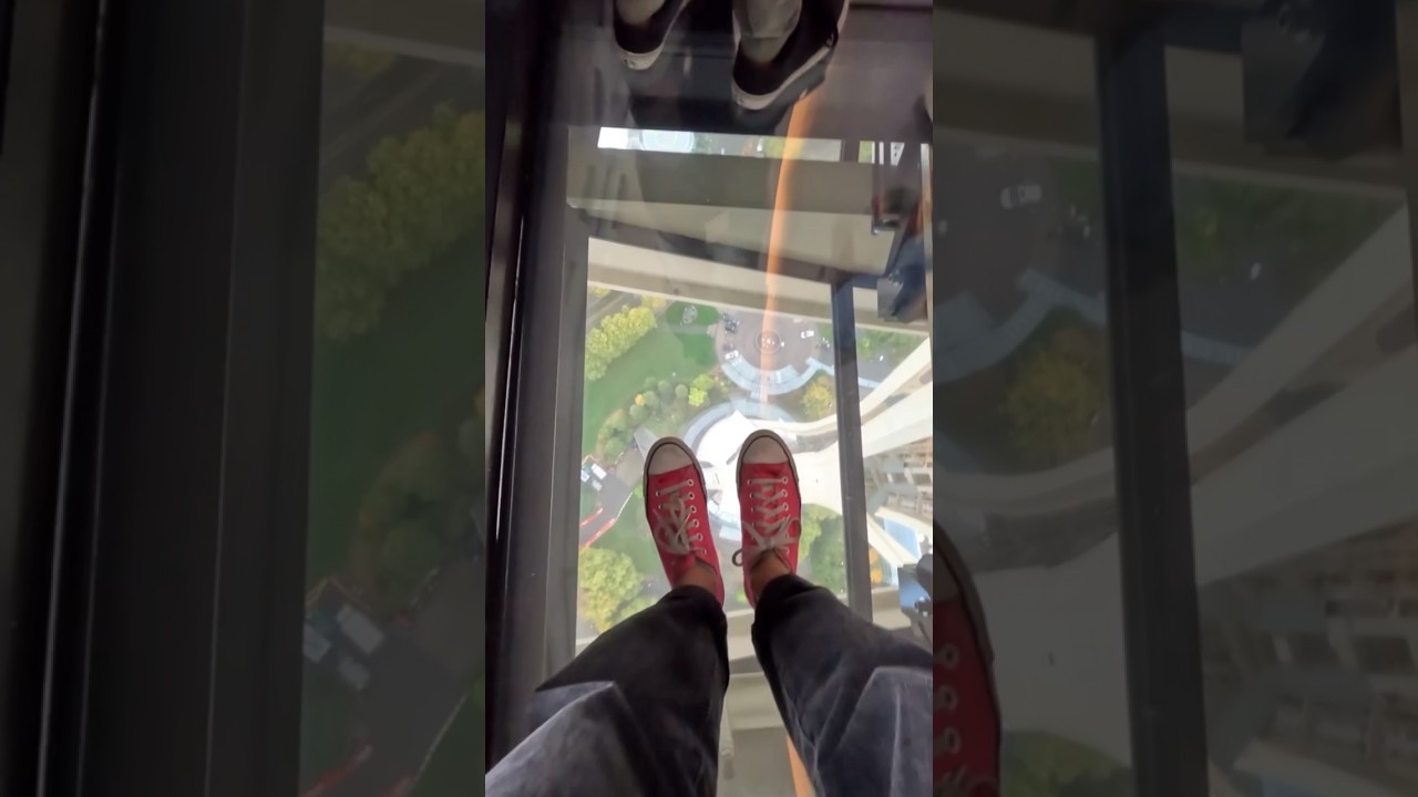 We made it to the top of Seattles Space needle #familytravel #shorts #minivlog