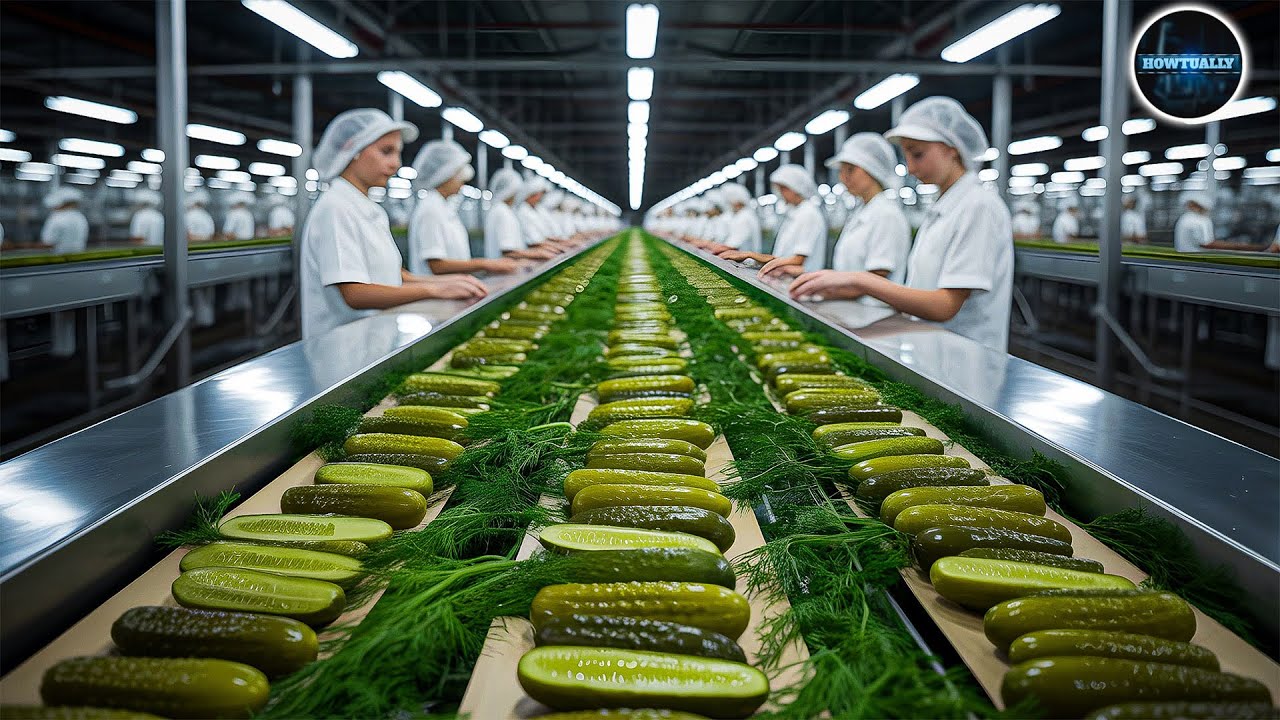 How Are Pickles Made In Factory? | Howtually