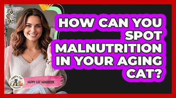 How Can You Spot Malnutrition In Your Aging Cat? - Happy Cat Handbook