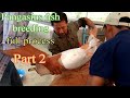 Fish breeding || Pangasius fish breeding Process  part 2