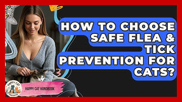 How To Choose Safe Flea & Tick Prevention For Cats? - Happy Cat Handbook