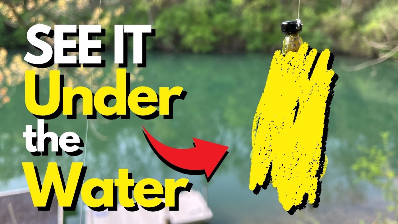 The Ultimate Ned Rig Lure. 5 Reasons Why I Think So