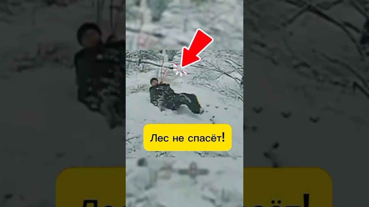 Лес не спасёт… дрон уже над ними!