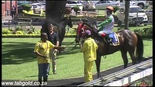 20150210 Greyville Race 2 won by ROYAL ZULU WARRIOR