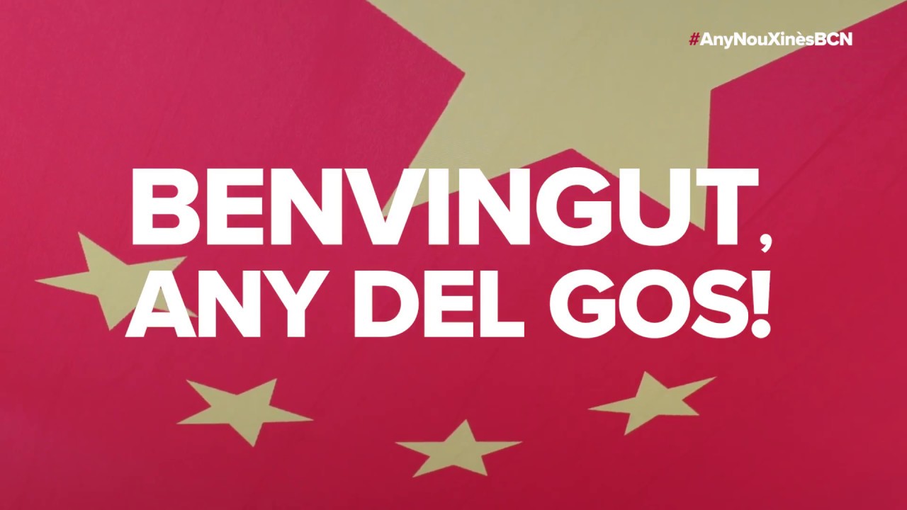 barcelona catalonia plaza hotel Benvingut any del gos