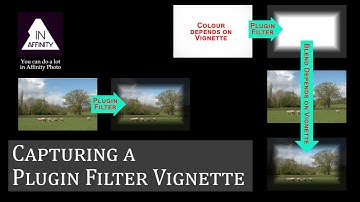 Capturing a Plugin Filter Vignette