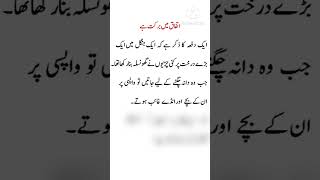 kahani ittefaq mein barkat hai union strength story #urduforall #education #storytime