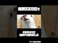 【自作PC】いい感じに小さくて真っ白な自作PC組みました【ゆっくり実況】 #自作pc #rtx4070tisuper #corei7 #ゆっくり実況