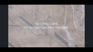 SỰ SỐNG | LIFE - HÀNH TRÌNH ĐẦU TIÊN TẠI CÔN ĐẢO