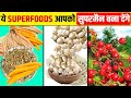 Top 10 Super Foods You Definitely Have to Eat!  ऐसे सुपरफूड जो आपको निश्चित रूप से खाना चाहिए!