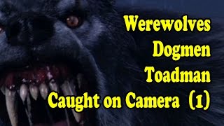 Real Werewolves Dogmen Strange Creatures Caught On Video Scary New 2016 1