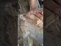 Cara membuat sambungan tenon pakai mesin serut #woodworking #diy #tips #tools #tricks