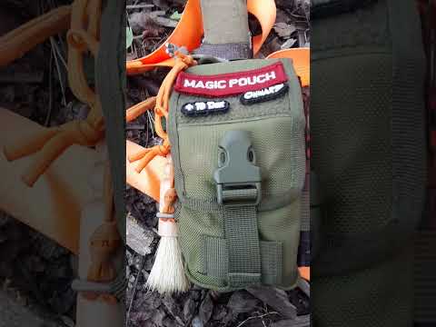 Kelso's Foraging Tool Check In!