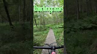 Vin Gormley Trail