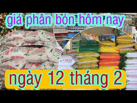 Video giá phân bón hôm nay ngày 12/2 - youtube