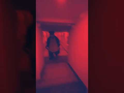 Bear chases person