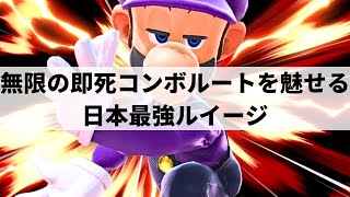 【スマブラSP】掴まなくても即死へ!?日本最強ルイージが無限の即死コンボルートを魅せる【らるくん ルイージ/ハイライト】