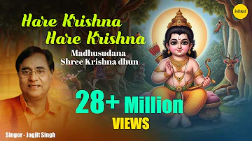 Ram Navmi Special | Hare Ram Hare Krishna | Jagjit Singh |  Keshwa Madhwa | Shri Krishna - Ram Dhun