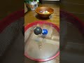 Marble Run ASMR ⭐ Drumming and soothing sounds of marbles 5