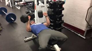 RP Physique Template Week 3 Training
