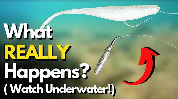 SEE What REALLY Happens With Drop Shot Leader Length (Side-by-Side Look Underwater)