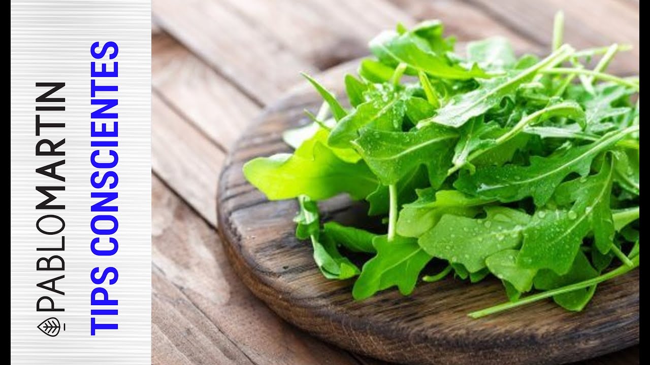 CÓMO CONSERVAR LECHUGA Y OTRAS VERDURAS DE HOJA DURANTE 20 DÍAS COMO MÍNIMO, POR PABLO MARTIN.