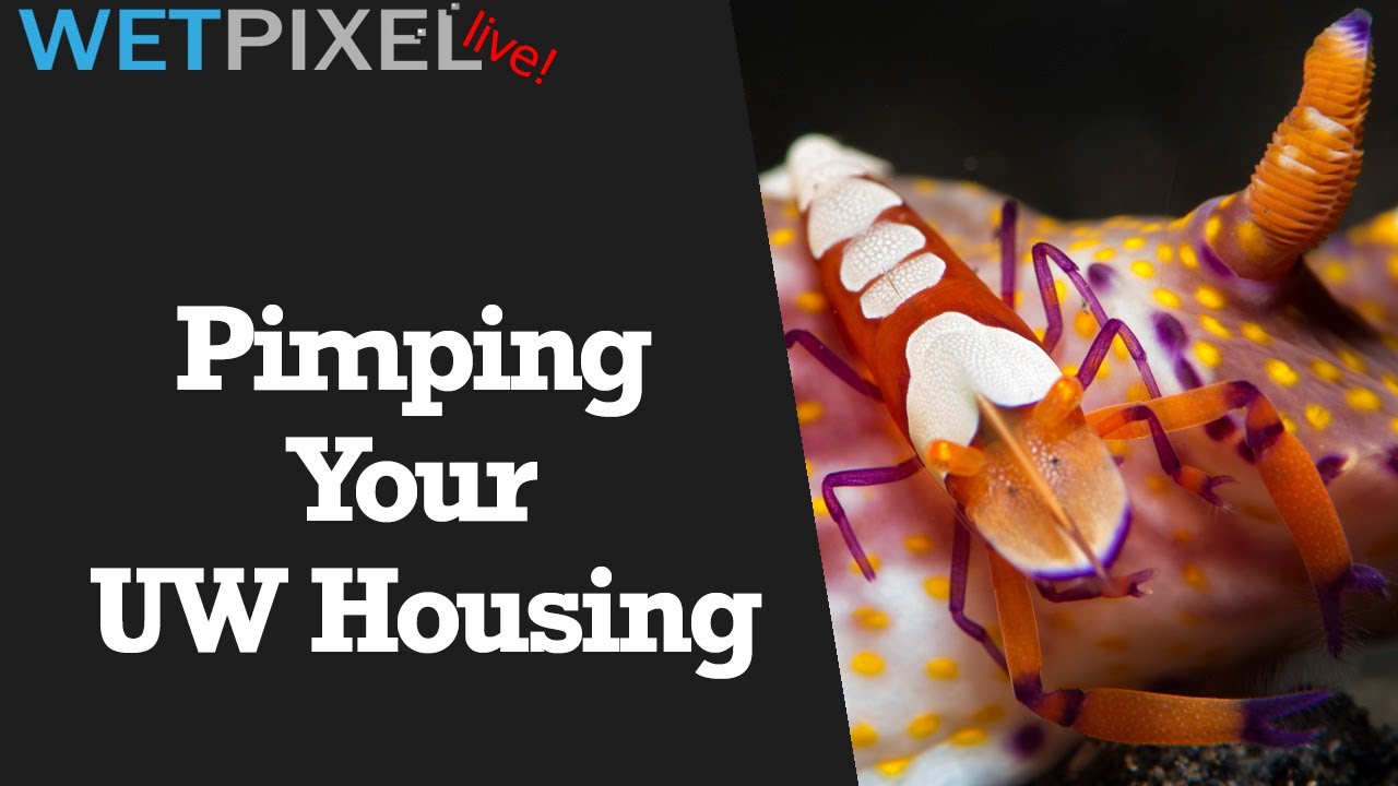 Accessorizing Your Underwater Housing