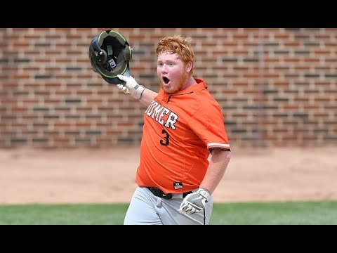  MHSAAMoments 2019 Division 3 Baseball Semifinal Homer Vs Pewamo Westphalia
