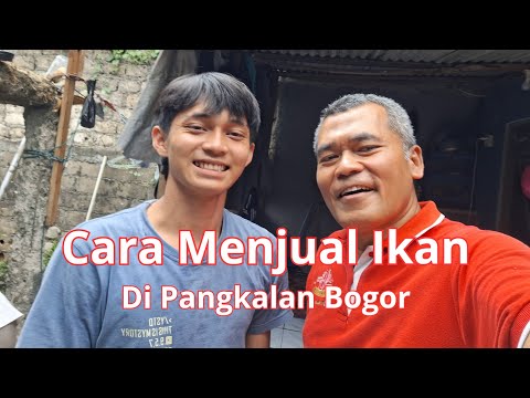 Jual Ikan Mas Nila Dan Gurame Segar Pada Kerjasama Foto