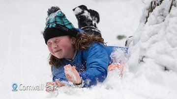 Bellingham snow storm in pictures