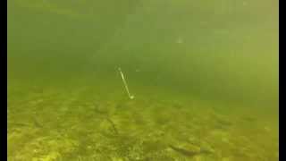 HookSetterUSA - The Automatic Hook Setter