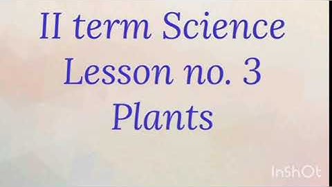 4th science term - 2 unit - 3 Plants book evaluation answers