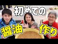 【初体験】醤油ってこんな風に作るの!?一から醤油作ってみた
