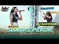 DINI KURNIA - SANTRI PEKOK | KRADENAN REBOUND x ONE PRO || FASKHO SENGOX AUDIO || ELITGM