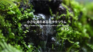 小さな滝のある苔テラリウムの作り方｜How to make a moss terrarium with a small waterfall #75