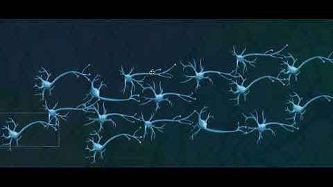 Simulating real neurons...