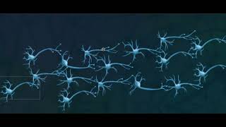 Simulating real neurons...