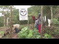 Revitalizing agriculture in Swaziland