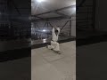 #laido #espadachim #jitsu #kendo #judô #martialarts #lutas #jiujitsu