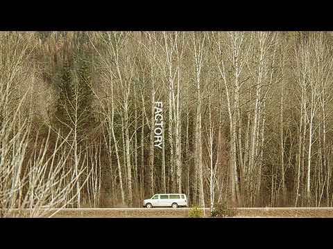 Birds Of Bellwoods – Factory [Audio Visualizer]