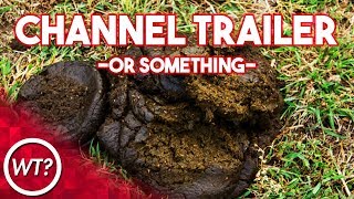 channel trailer.mp4