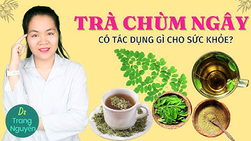 Uống trà chùm ngây có tác dụng gì cho sức khỏe? Cách sử dụng tốt nhất