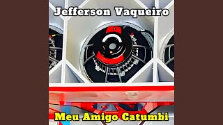 Quem Chorou Fui Eu