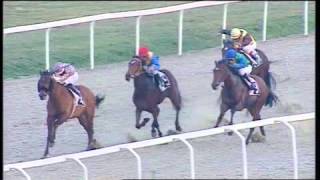 rm 20151215 04 p anticlea