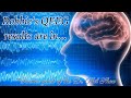 Dr. Phil Robbie QEEG Report aka Brain Mapping