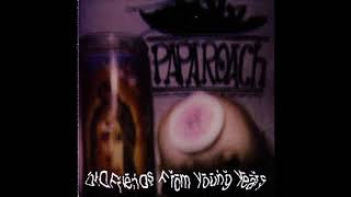 06 Dirtycutfreak - Old Friends From Young Years - Papa Roach