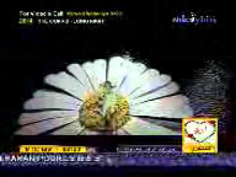  بحبك اد ايه 002
