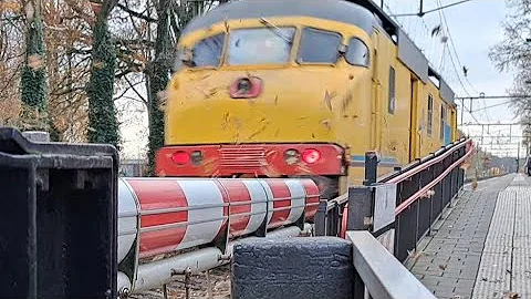 Special Trains Passing Veenendaal-De Klomp | Bahnübergang / Spoorwegovergang / Railroad Crossing