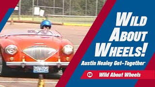 Austin Healey Get-Together | Wild About Wheels